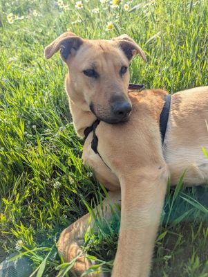 wp-17811206120088979259421490962439.jpg