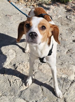 wp-1789389622677152576601151267933